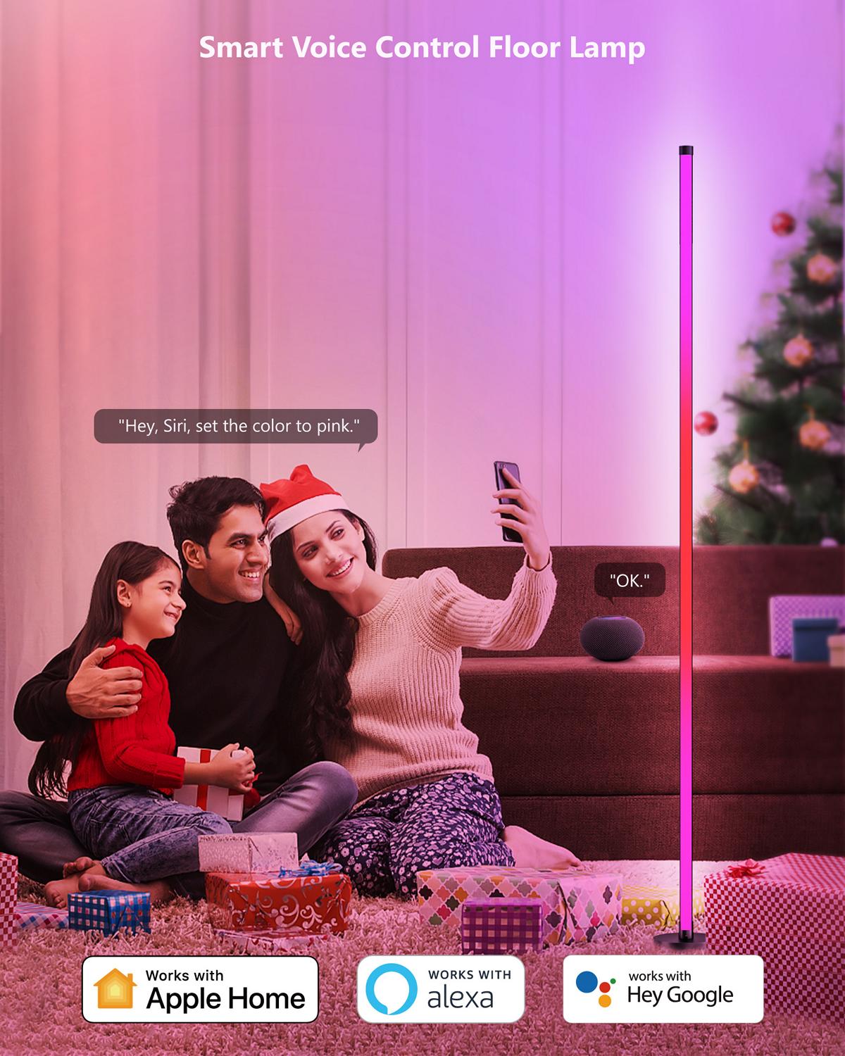 VOCOlinc RGBIC Smart Christmas Corner Floor Lamp- FL2201